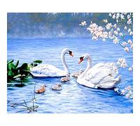 YSCOLOR Diamond Painting Diamant Peinture 5D Diy Diamant Image Art Artisanat Strass Par Kit Numérique White Swan Family 30x40cm
