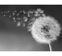 YSCOLOR Diamond Painting Diamant Peinture Complet Diamant Rond " Pissenlit " 3D Broderie Point De Croix Strass 5D Diy Mosaïque Décor Noir Blanc Art Décor 30X40cm