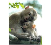 YSCOLOR Diamond Painting Diamant Peinture Singe Maman Et Bébé Complet Diamant Rond Broderie Point De Croix Animal Mosaïque Décoration De La Maison 30X40cm