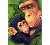 YSCOLOR Diamond Painting Diy Diamant Peinture Orang-Outan Décoration Maison Complet Ronde Singe Image De Strass Diamant Broderie Animaux 30X40cm