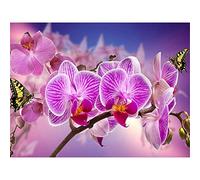 YSCOLOR Diamond Painting Fleur Rose Ronde 5D Diamant Broderie Diamant Orchidée Papillon Image De Strass Kits Point De Croix Mosaïque De Diamants 30X40Cm