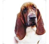 YSCOLOR Diamond Painting Kit De Diamant Peinture 5D Pour Adultes Et Basset Hound Dog Full Drill Round Diamond Art 30x40cm