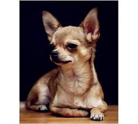 YSCOLOR Diamond Painting Kit De Diamant Peinture Bricolage 5D Perceuse Ronde Chien Chihuahua Broderie Complète De Strass 30x40cm