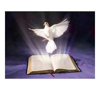 YSCOLOR Diamond Painting Kit De Diamant Peinture Bricolage 5D Pour Adultes Religion De Foret Complet La Colombe De La Sainte Bible 30x40cm