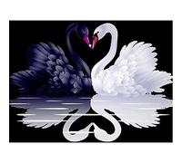 YSCOLOR Diamond Painting Kit De Diamant Peinture Débutants Broderie Gamme Complète Cygne Noir Et Blanc Bricolage Adultes Avancés Décoration Murale Maison 30x40cm