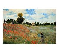 YSCOLOR Diamond Painting Kit De Diamant Peinture Pour Adultes Claude Monet Coquelicots Fine Perceuse Ronde Strass Diamant Arts Artisanat Toile Et Relaxation 30x40cm