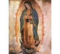 YSCOLOR Diamond Painting Kit De Diamant Peinture Pour Adultes Diamond Art 5D Le Jour De La Vierge De Guadalupe Au Mexique Art Portrait Kit De Peinture À Faire Soi-Même 30x40cm