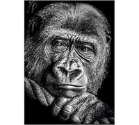 YSCOLOR Diamond Painting Kits D'Art De Diamant Bricolage 5D Pour Adultes Débutants Pleine Perceuse Singe Diamant Peinture Diamant Broderie 30x40cm