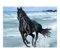 YSCOLOR Diamond Painting Nouveau Diamant Rond 5D Diamant DIY Peinture Cheval Noir Broderie Point De Croix Strass Mosaïque Peinture Décor Cadeau 30X40Cm