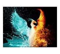 YSCOLOR Diamond Painting Peinture Diamant Eau Et Feu Phoenix DIY Peinture Diamant Point De Croix Broderie Décoratif À La Maison Chinois Traditionnel Phoenix 30X40Cm
