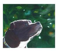 YSCOLOR Diamond Painting Peinture Par Numéros Kits American Staffordshire Terrier Chien De Compagnie 5D Diamant Peinture Ronde Strass Broderie Cadeau 30x40cm