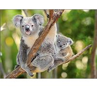 YSCOLOR Diamond Painting Perceuse Ronde Complète 5D Diy Diamant Peinture Koala Bears In Australia Broderie Point De Croix Mosaïque Décor À La Maison 30X40cm