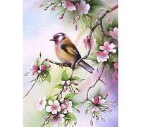 YSCOLOR Diamond Painting Perle Broderie Diamant Oiseaux Fleurs 5D Peinture De Diamant Complet Diamond 2019 Image De Strass Kits Point De Croix 30X40cm