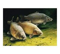 YSCOLOR Diamond Painting Poisson Diamant Peinture Par Numéros 5D Complet Rond Carpe Kit Ensemble Diamant Peinture Kits 30x40cm