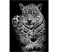 YSCOLOR Kit De Peinture Par Numéros, Animal De La Forêt Léopard Bricolage Peinture Par Numéro Pour Adultes Débutants Et cadeau De Vacances 40X50cm