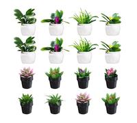 YSJCHEBS 16 Pièces Plantes en Pot Simulées, Mini Modèles De Plantes en Pot, Modèles De Plantes, Micro-Ornements De Paysage, Ornements Créatifs, Accessoires De Maison De Poupée