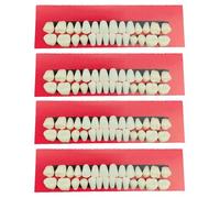 YSJCHEBS Pack De 4 Modèles Dentaires en Plastique, Aides Pédagogiques Dentaires, Exercices Buccaux Dentaires, Accessoires De Jeu De Rôle