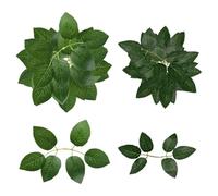 YSJCHEBS Paquet De 50 Pétales De Roses Artificielles, Feuilles Artificielles pour La Décoration, Décoration De Feuilles Artificielles, Adaptées Aux Fêtes De Vacances Et Aux Mariages