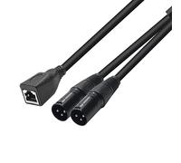 YSJJZRL 30 cm XLR 3 Broches mâles vers 2 RJ45 Femelle câble Adaptateur Utiliser Cat5 Ethernet pour contrôleur DMX-Con (RJ45 vers 2 XLR Mâle)