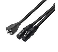 YSJJZRL 30 cm XLR 3 Broches mâles vers 2 RJ45 Femelle câble Adaptateur Utiliser Cat5 Ethernet pour contrôleur DMX-Con (RJ45 vers 2 XLR Femelle)