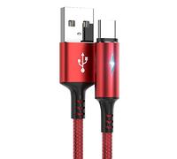 YSJJZRL Câble USB Type C, USB A vers USB C LED 2A Cordon de Charge tressé à Charge Rapide Compatible avec Samsung Galaxy S10 S9 S8 Plus, Note 9 8 (2M,Rouge)
