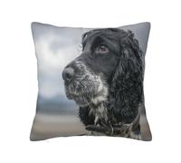 YsoLda Housse de Coussin décorative, taie d'oreiller Douce, 40 x 40 cm, pour Chambre à Coucher, canapé, Cocker Anglais, Grandes Oreilles bouclées, Noir