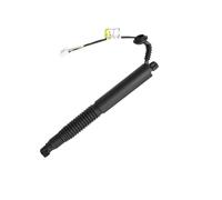 YSQOFDNFD Vérin Hayon 1 Tige de Levage de hayon électrique Gauche 155148898B pour Tesla pour Model 3 (2016, 2017, 2018, 2019, 2020) Ressort Gaz