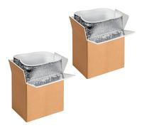 YSSOA Lot de 2 boîtes d'expédition isothermes avec doublure en feuille d'aluminium, isolation thermique pour la congélation, boîte glacière réutilisable, petite boîte postale, 15,2 x 12,7 x 22,9 cm