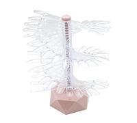 YsXoWiui Support Principal Nail Display Stand Présentoir Échantillons Chart PS Transparent Spiral Shelf Hexagonal Stable Porte-vernis Portabl, ROSE