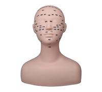 YsXoWiui Tête de Mannequin D'entraînement pour Maquillage Permanent, Modèle Cosmétique avec Base Antidérapante et Points D'acupuncture Pratiques, noir