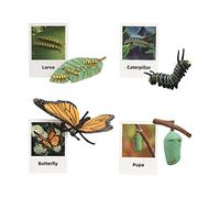 Ysyqkn Ensemble de Jeu d'animaux, Figurines éducatives, Simulation de Croissance, Modèles D'insectes, Naturels, Matériau Résistant, Adapté Aux, Papillon