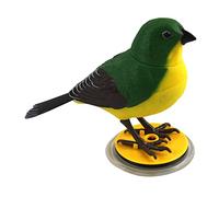 Ysyqkn Jouet Perroquet avec Chants d'oiseaux, Perroquet électrique à Commande Vocale, Figurine D'oiseau, c