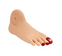 Ysyqkn Modèle de Soin Du Pied Modèle Pédagogique Anatomique Squelette de Pied Simulation Diabétique en PP PE Flexible Adapté à l'Apprentissage Médical Salle