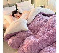 YSZBD Couette Hiver 220x240 TrèS Chaude Dodo Couette Polaire Biface Couette Epaisse Moelleuse éDredon Adulte Edredon Gonflant(#7,150x200cm-2kg)