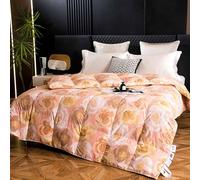 YSZBD Couette Hiver 220x240 TrèS Chaude Duvet ImpriméE Couette Couleur sans Housse Edredon Gonflant Duvet Plume éDredon Grand MèRe(#7,200x230cm-4kg)