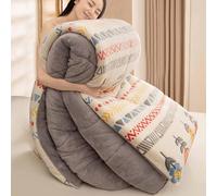 YSZBD Edredon Gonflant Duvet Couette Hiver 220x240 TrèS Chaude Dodo Couette Douillet Polaire éPaisse Hiver en Couleur Couverture Chaude Hiver Lit(#3,200x230cm-4kg)