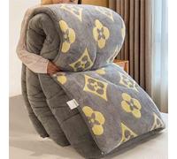 YSZBD Edredon Gonflant Duvet Couette Hiver 220x240 TrèS Chaude Dodo Couette Douillet Polaire éPaisse Hiver en Couleur Couverture Chaude Hiver Lit(#12,150x200cm-3.5kg)