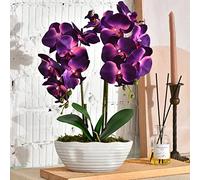 YSZL Grande orchidée Artificielle en Pot, Arrangement de Fleurs en Soie avec Vase en céramique, Violet foncé