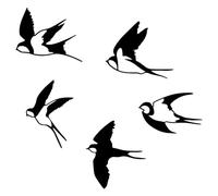 YTAXYZWR décor mural oiseau 3D en plastique noir mat lot de 5 pièces décoratives murales pour maison, jardin, mariage, café hauteur variable 12 à 60 cm, style moderne naturel