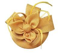 YTBHSHXZ, Accessoires for cheveux for femmes, voiles de mariée, fascinateur à plumes décoré, couvre-chef de cocktail(Gold)