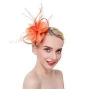 YTBHSHXZ， Barrettes à cheveux en plumes for femme, serre-tête, bandeau ...(Orange)