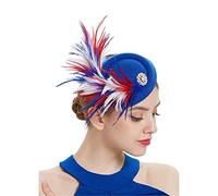YTBHSHXZ, Chapeau bibi de mariage for femme, couvre-chef en plumes, pince à cheveux, accessoires for cheveux(As picture3)