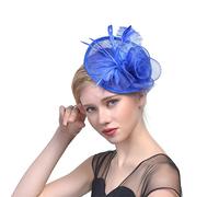 YTBHSHXZ, Coiffe à plumes, coiffure for cocktail, thé, fête, fleur, maille, pince à cheveux for mariage(White)