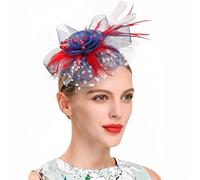 YTBHSHXZ, Fascinators Femmes Fleur Maille Rubans Plumes Chapeau Coiffe Ou Un Clip Cocktail Thé Fête Chapeaux(K)