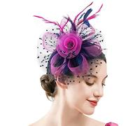 YTBHSHXZ, Fascinators Femmes Fleur Maille Rubans Plumes Chapeau Coiffe Ou Un Clip Cocktail Thé Fête Chapeaux(O)