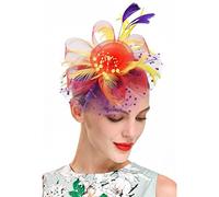 YTBHSHXZ, Fascinators Femmes Fleur Maille Rubans Plumes Chapeau Coiffe Ou Un Clip Cocktail Thé Fête Chapeaux(P)