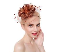 YTBHSHXZ, Serre-tête à plumes, pinces à cheveux, cocktail, maille solide, épingles à cheveux for femmes, ruban, couvre-chef(Brown)