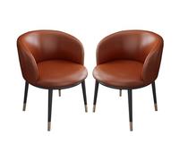 YTGHBIML Lot de 2 chaises de salle à manger rembourrées en cuir PU avec dossier et pieds en métal