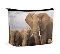 YTLKGFP Trousse de maquillage en cuir synthétique avec fermeture éclair - Étanche - Grande capacité - Motif famille d'éléphants