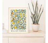 ytonghao Affiches de William Morris, art abstrait de fleurs et de fruits, toile, impressions, art mural vintage, décoration de salon, 40 x 60 cm, sans cadre